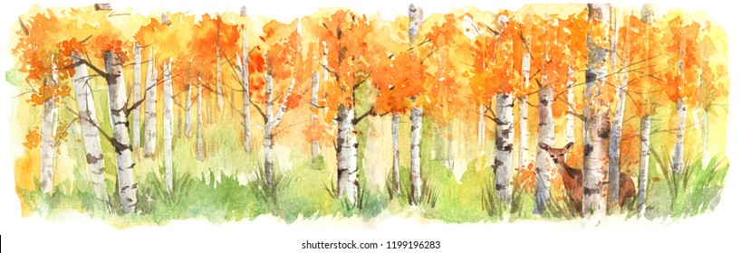 A Deer Hiding Behind Birch Tree Forest In Autumn. Hand Drawn Watercolor Painting With Panorama View. 