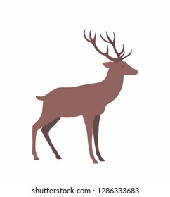 Deer Isolated On White Background Stock Illustration 1286333683 ...