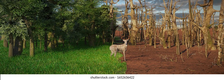 deer in past and future forest, climate change crisis, global warming impact on nature (3d nature illustration banner)