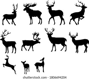 Deer Silhouette Collection Deer Silhouettes Various Stock Illustration ...