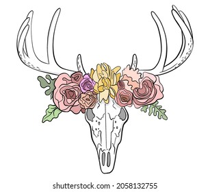 Deer skull and the flowers  Digital illustration  