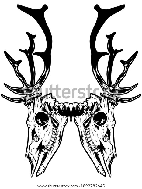 Deer Stag Skull Symmetrical Design. Line\
Art, Blackwork, Tattoo\
Illustration.