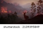 Deer watching on the mountain forest hill wildfire burns a high mountain forest 3d rendering