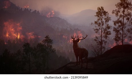 Deer watching on the mountain forest hill wildfire burns a high mountain forest 3d rendering