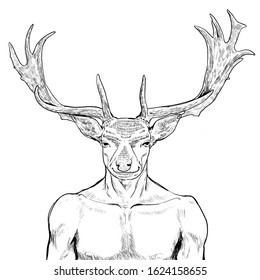 Pencil Illustration Hand Graphic Deer Head Stock Illustration 360858827 ...