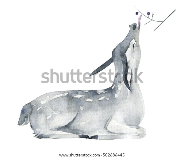 鹿水彩画 森の動物 白い背景に手描きのリアルなイラスト 鹿は枝からベリーを食べる のイラスト素材