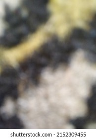 defocused abstract background of blur