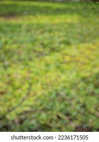 Defocused abstract background of ropes