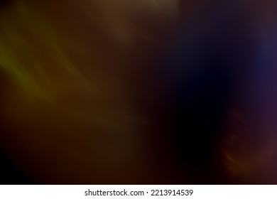 defocused abstract background transparent synthetic flowers and rgb light highlight  golden gradation dark background 
