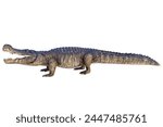 Deinosuchus 3d rendering 3d illustration. Deinosuchus is an extinct genus of alligatoroid crocodilian lived in Cretaceous period.