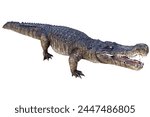 Deinosuchus 3d rendering 3d illustration. Deinosuchus is an extinct genus of alligatoroid crocodilian, lived in Cretaceous period