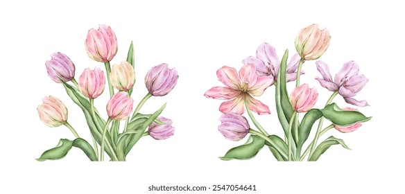 Delicate pastel multi-colored bud bouquet Tulips. Hand drawn watercolor illustration garden composition perennial bulbous flower for spring design or card, frames, banners, postcards, certificates - Powered by Shutterstock