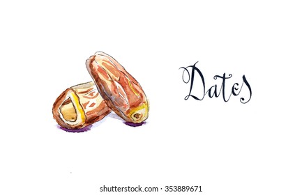 Delicious Dried Date Fruit, Hand Drawn, Watercolor - Illustration