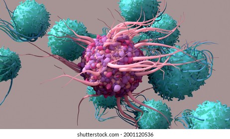 Dendritic Cell Activate T Cells, Trigger Immune Responses, They Are Responsible Of Cells Protection Of The Body. 3d Illustration