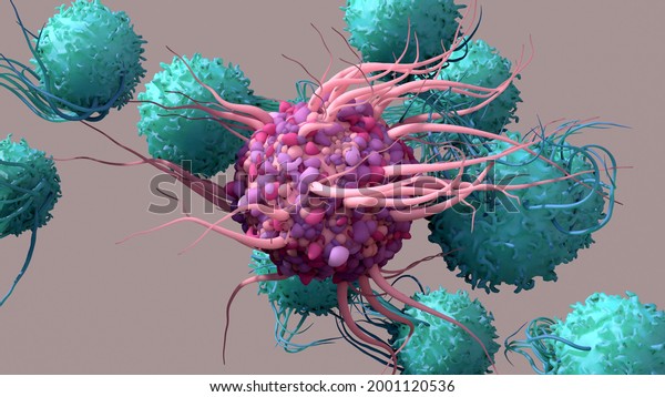 Dendritic Cell activate T cells, trigger\
immune responses, they are responsible of cells protection of the\
body. 3d\
illustration