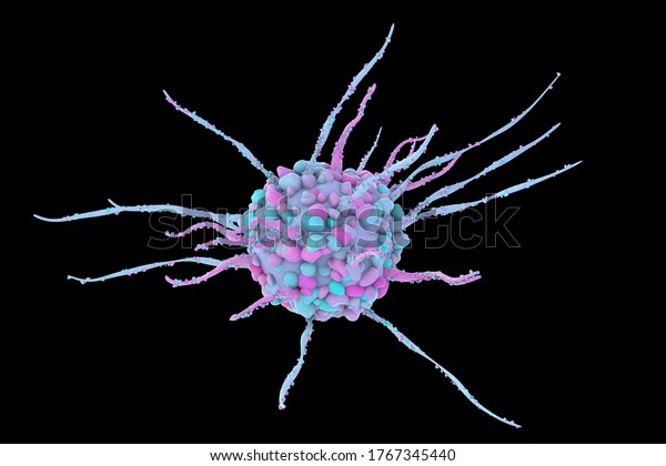 Dendritic cell, antigen-presenting immune\
cell, 3D\
illustration