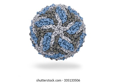 Dengue Fever An Acute Viral Disease Transmissible. The Actual Structure Of The Virus Created By The Chemical Formula PDB 3ZKO.