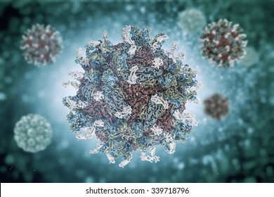 Dengue virus. engue fever an acute viral disease transmissible. Structure of Dengue virus (PDB 4C2I) serotype 1 complexed with Fab fragments of human antibody.