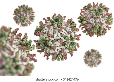 Dengue Virus. Engue Fever An Acute Viral Disease Transmissible. Structure Of Dengue Virus Serotype 1 Complexed With Fab Fragments Of Human Antibody.