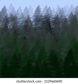 dense spruce or pine forest