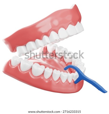 Dental Floss Between Teeth 3D Illustration