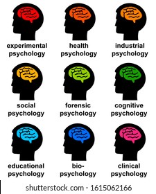 Describing The Different Branches Of Psychology
