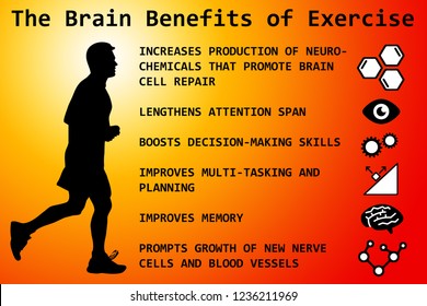 Description Of Brain Benefits Of Regular Exercise