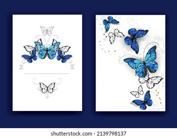Design broschury and blue butterflies morpho white background  Morpho  Design and blue butterflies morpho 