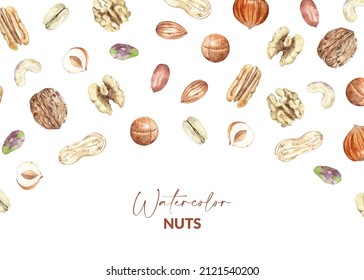 Design with edible nuts. Raw pecan, walnut, almond, pistachio, peanut, macadamia, hazelnut and cashew. Hand drawn watercolor illustration of organic food for packaging, label, card.