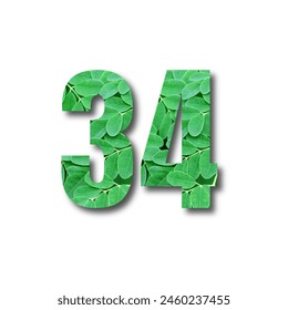 Design number 34 with leaf texture on white background
