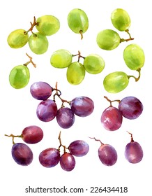 Design Set Of Watercolor White And Red Grapes