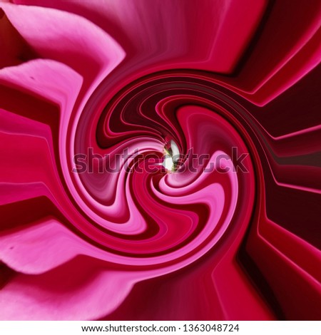 Similar – Image, Stock Photo pink rose Environment