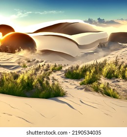 Dessert Dunes With Setting Sun With Some Plant Growth