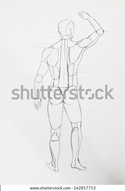 Pencil Drawing Pencil Sketch Of Human Body Parts - for