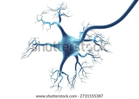 A detailed 3D rendering of a human neuron, showcasing its intricate structure with a central cell body, branching dendrites, and a long axon, all in luminous blue tones against a clean white background.