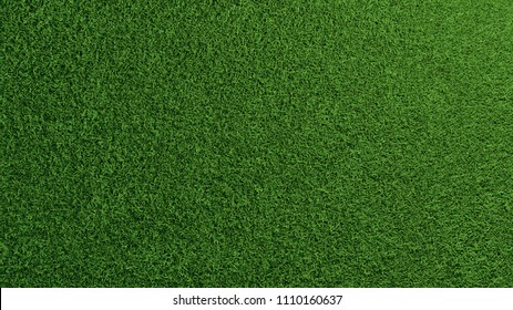 Detailed Green Grass Lawn Texture Seen From Above (3D Rendering)