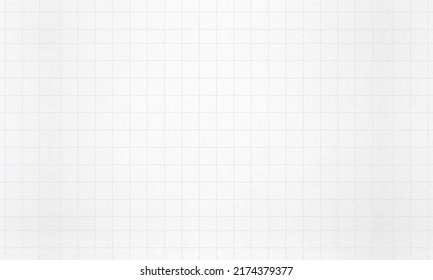 Detailed Lined Blank Sheets Of Big Square Block Notebook Paper For Background And Texture