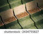 Detailed overhead shot displaying a collection of open military ammunition boxes fully packed with metallic bullets, illuminated by natural daylight.