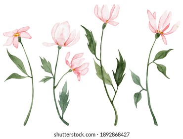 flower stem drawing