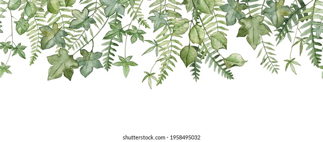 Detailed Realistic Green Leaves Isolated On White Background. Watercolor Hand Painted Botany. Seamless Long Banner With Hanging Ivy Plant And Fiddlehead Fern Leaves