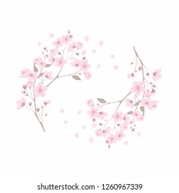 Sakura Drawing Images Stock Photos Vectors Shutterstock