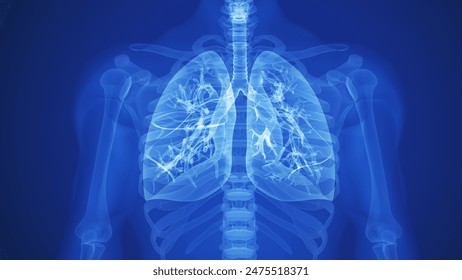 Detailed visualization of human lung structure and respiratory pathways