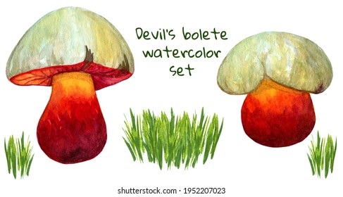 Devils Bolete Watercolor Set With Mushroom And Grass Bunch. Bright Toadstool Collection Isolated On White Background For Print, Sticker, Poster, Cover. 