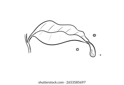 dew on leaf digital drawing illustration white background