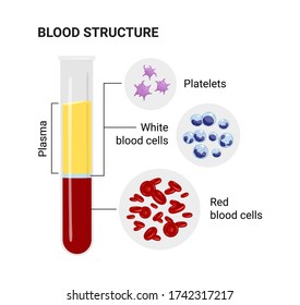 Diagram Blood Composition Testtube Medical Illustration Stock ...