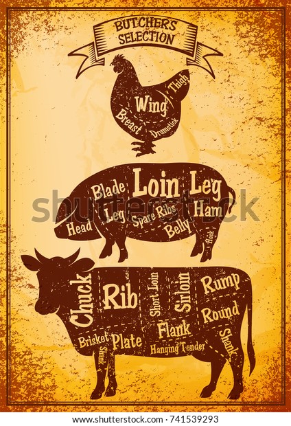diagram cut carcasses\
of chicken, pig,\
cow.