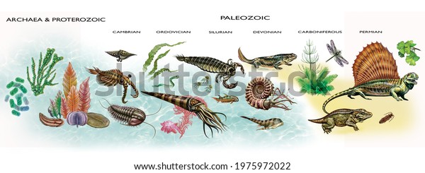 Diagram of the development of life in the Archean,\
Proterozoic and Paleozoic eras, geologic timeline illustration,\
evolution of living forms, the emergence of creatures in water and\
on land