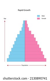 The Diagram Of Population And Demography Shows The Detail Of Population Pyramids Chart Or Age Structure Graph.