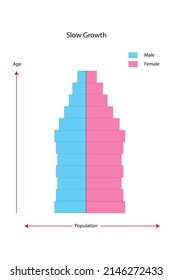 The Diagram Of Population And Demography Shows The Detail Of Population Pyramids Chart Or Age Structure Graph.