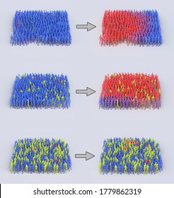 Diagram Showing Herd Immunity In Action. 3d Render. Blue Uninfected, Red Infected, Yellow Immune. Corona Covid Flu Vaccine